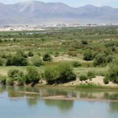 Juha Juragat, 04.03, Ulaanbaatar