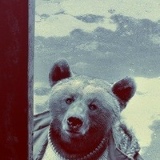 Михаил Агафонов, 13.08.1988, Красноярск