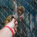 Дмитрий Лукьяненко, 05.02.1987, Москва