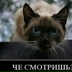 Динар Афлятунов, 19.07, Баймак