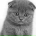 Михаил Черкасов, 05.09.1983, Донской