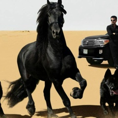 Адил Адил, 03.01, Уральск