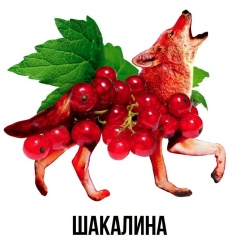 Шурик Выхухоль, 16.08