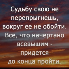 Амина Тебиева, Грозный