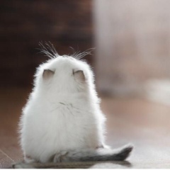 Nazik Kutbanova, 01.02, Алматы