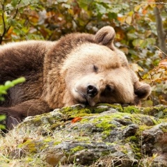 Михаил Васильев, 06.01.1988, Санкт-Петербург