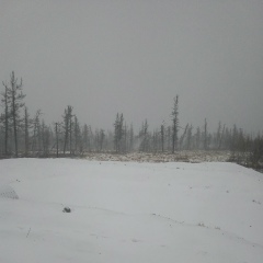 Алиса Куликова, Москва