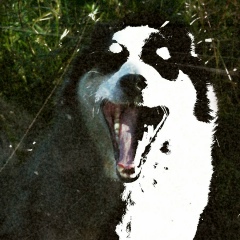 Бимка Катунин, 17.08, Дружба