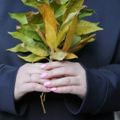 Елена Скрипаль, 02.07, Саратов
