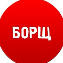 Евгений Морозов, Гомель