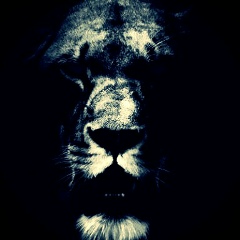 V-O-L-K F-B-R