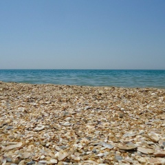 Сергей Гусев, 16.06.1980, Торопец