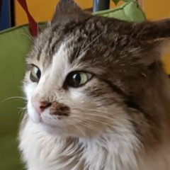 Нурик Зейнуллин, 30.07.1901, Самара