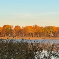 Sebastian Pereira, Санкт-Петербург