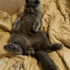 Вадим Горелов, 14.01, Москва