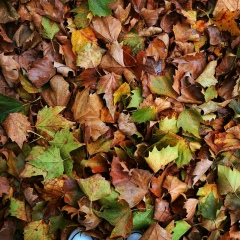 Александра Германюк, 15.12.1988