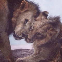 Патша Курбанова, 28.10.1991, Астана