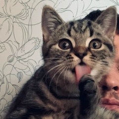 Евгений Шарий, 15.11.1989, Пермь