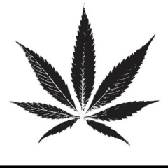 Тимур Сулейманов, 28.06.2005