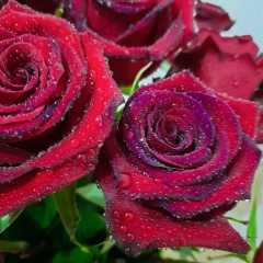 Юли Юлия, 05.10, Санкт-Петербург