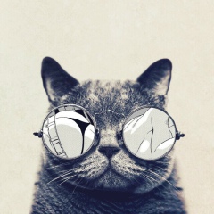 Нурсултан Мухаметжанов, 01.12, Талдыкорган