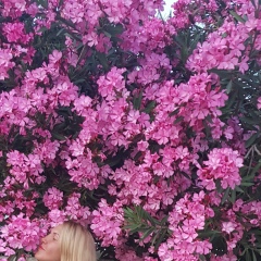 Ди Лу, 05.04, Москва