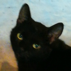 Виктория Вико, 06.04, Москва