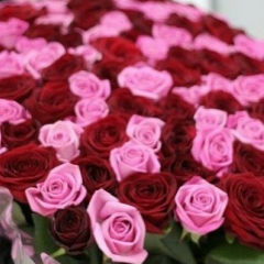 Гаухар Турлибекова, 17.04, Шымкент