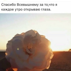 Рамина Сайдумова, 29.12, Омск