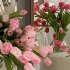 Елена Храмцова, 16.03