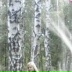 Инна Кириченко, 25.09.1996, Кременчуг
