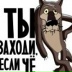 Жека Жека, 20.01