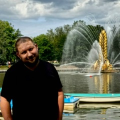 Виктор Ларин, Воронеж