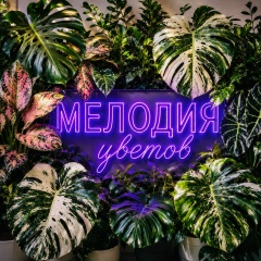 Мелодия Цветов, 25.03, Москва