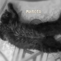 Людмила Лукина, 08.02.2007, Воронеж