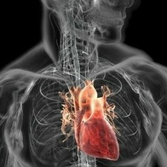 Еркулан Сейтчанов, 02.07