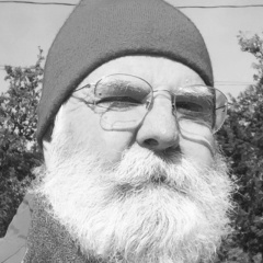 Gustav Hirsch, 04.03