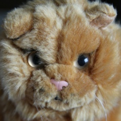 Sergey Evgenievich, 03.02