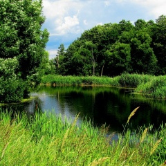 Альфия Лукьянова, 01.03, Туймазы