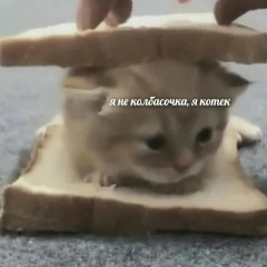 Веня Уличный