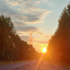 Ольга Горбачева, Шарья