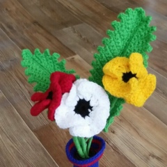 Фарида Телмаганбетова, 10.05.1984, Актау