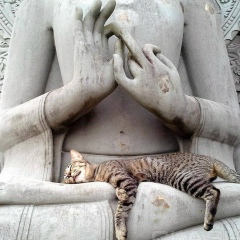 Станислав Селезнев, Уфа