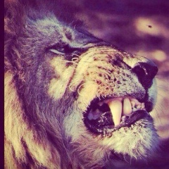 Nurhan Nuradinuly, 20.07, Алматы