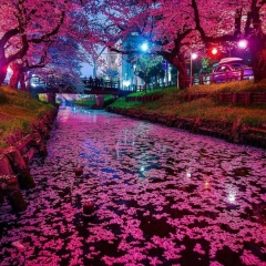 Венера Лян, 05.07, Алматы