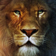 Serik Mukhamedkarimov, 07.04.1988, Москва