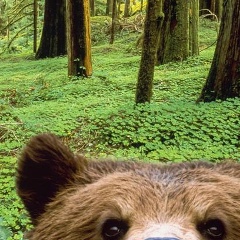 Петя Вторушин, 11.04, Санкт-Петербург