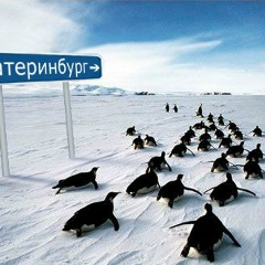 Михаил Александров, 01.08.1998