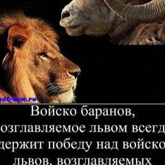 Денис Салтанов, 16.08.1989, Москва