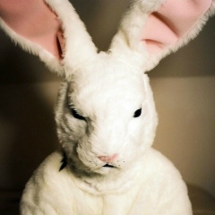 Игорь Трошин, 26.03, Нижний Тагил